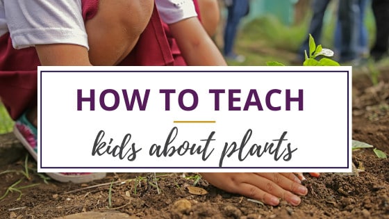 how to teach kids about plants by having them plant vegetables outdoors