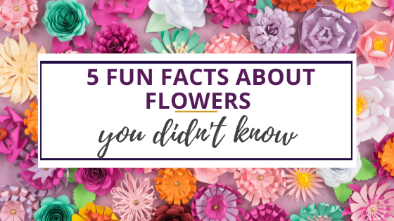 fun facts about flowers for kids
