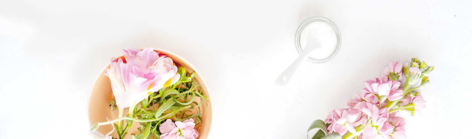 Why is botany important? 8 benefits of teaching botany Julie